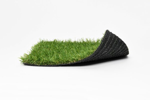 COMFORT 20 - ok - Imagen 2